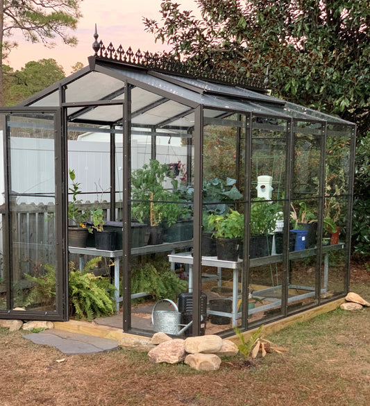 Palmetto 8' x 10' Aluminum & Glass Greenhouse Kit