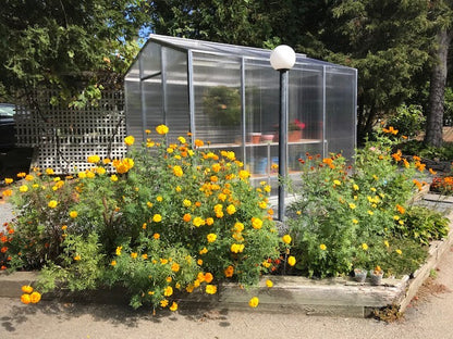 Palmetto 8' x 10' Aluminum & Glass Greenhouse Kit