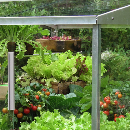Greenhouse with various plants and vegetables growing inside